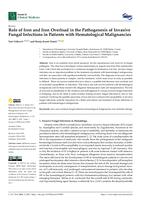 Role of Iron and Iron Overload in the Pathogenesis of Invasive Fungal Infections in Patients with Hematological Malignancies